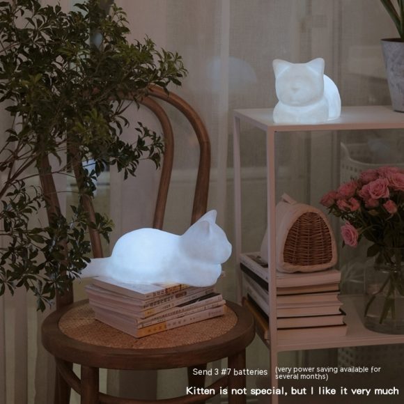 Wife Girl Cat Vinyl Small Night Lamp Christmas - Image 9
