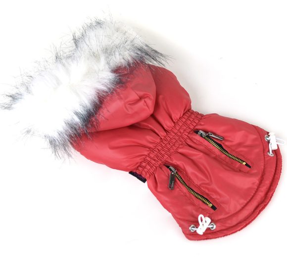 Zippered Cotton Padded Clothes For Pets - Image 4