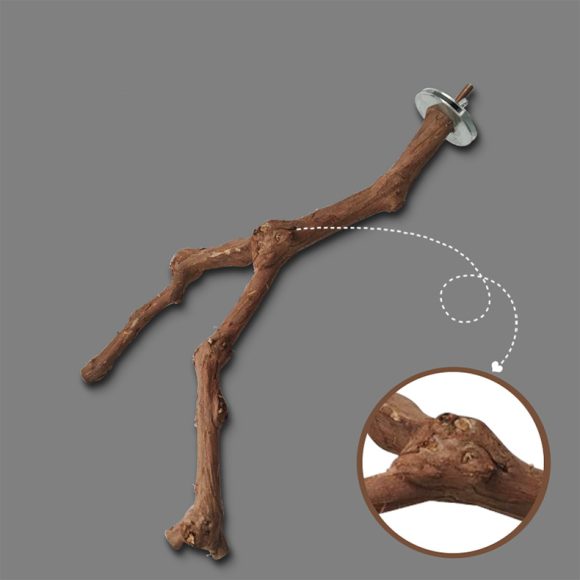 Add a stand pole to the cage for parrot birds - Image 5