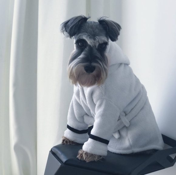 Pet clothes bathrobe robe pajamas - Image 2