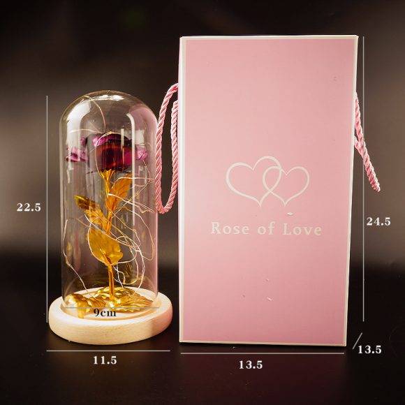 Preserved Flower Glass Cover Gold Foil Rose Flower Mothers Day Valentines Day Birthday Gift Gift Decoration Cross-Border Amazon - Image 7