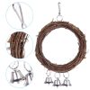 Parrot swing - Image 5