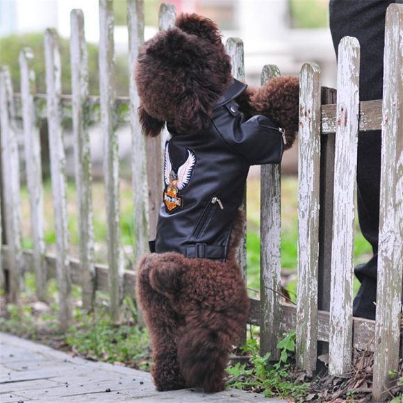 Dog coat - Image 6