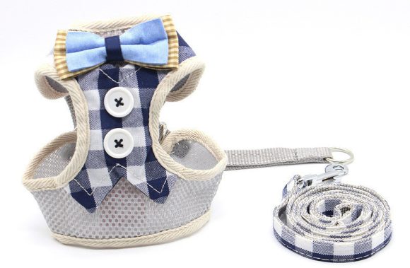 Cat Traction Rope, Cat Walking, Cat Chain, Rope - Image 10