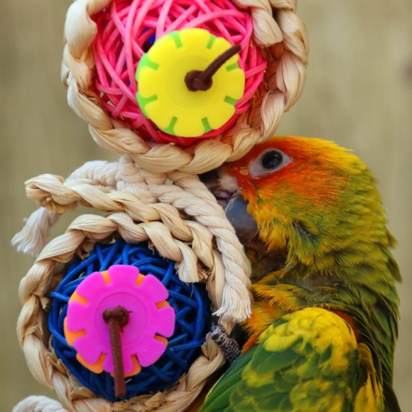 Parrot Supplies Pet Bird Toy Bite Toy Ran Vine Bal Twist String - Image 6