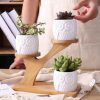 Owl Wooden Tree
