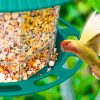 Outdoor Garden Hanging Transparent Bird Feeder - Image 5