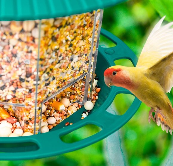 Outdoor Garden Hanging Transparent Bird Feeder - Image 5