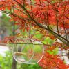 Acrylic Bird Food Box - Image 2