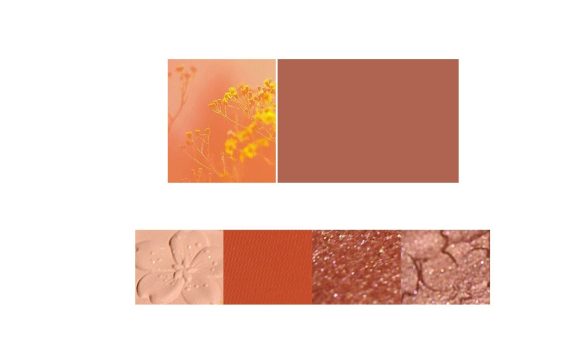 NOVO Eyeshadow Palette - Image 3