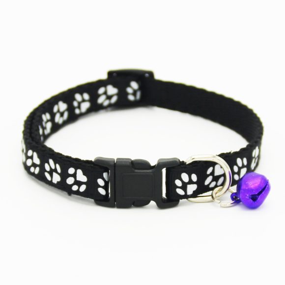 The pet cat wears a bell collar - Image 9