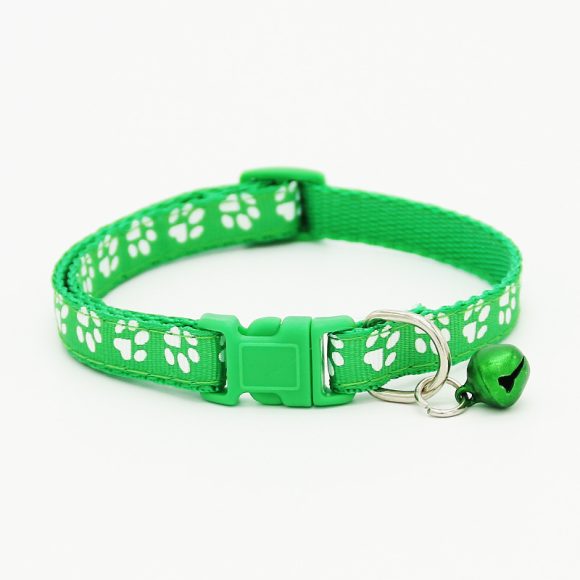 The pet cat wears a bell collar - Image 4