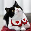 Pet collar - Image 2