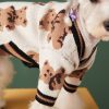 Dog Cat Sweater Preppy Style V-neck Striped Vest Pet Puppy Winter Warm Clothes Apparel For Dogs Cats