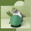 Cat Scratching Ball Board Toy Cactus Shape Scratch Sisal Post - Image 6