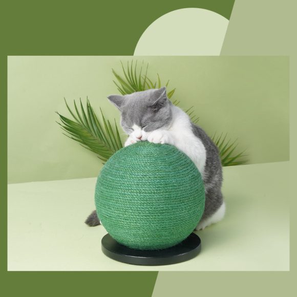 Cat Scratching Ball Board Toy Cactus Shape Scratch Sisal Post - Image 6