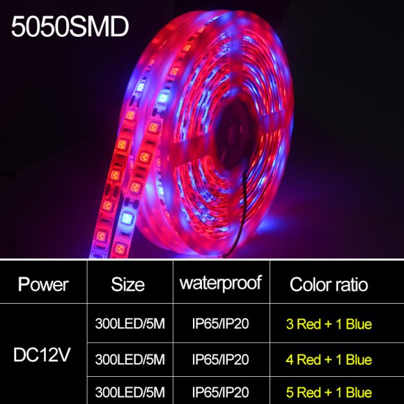 5050Led plant growth soft light bar 5M - Image 2