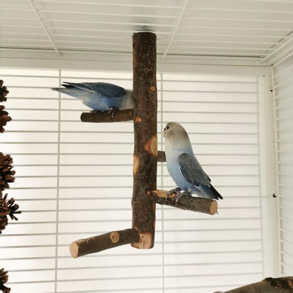 Parrot Bird Wood Stand Pole Toy - Image 2