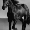 Art Canvas Animal Dark Horse Wall Art Living Room Home Decor - Image 3