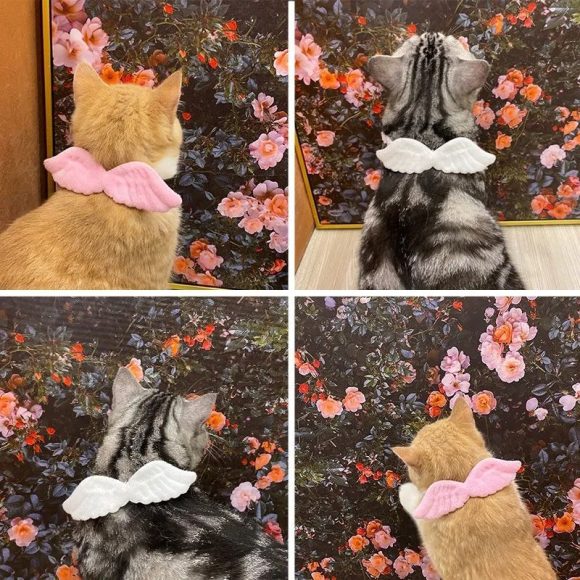 New Cat Specific Pet White Collar Angel Wing Accessories Outdoor Dog Neck Rings Butterfly Tie Supplies Pet Decoration Supplies - Image 5
