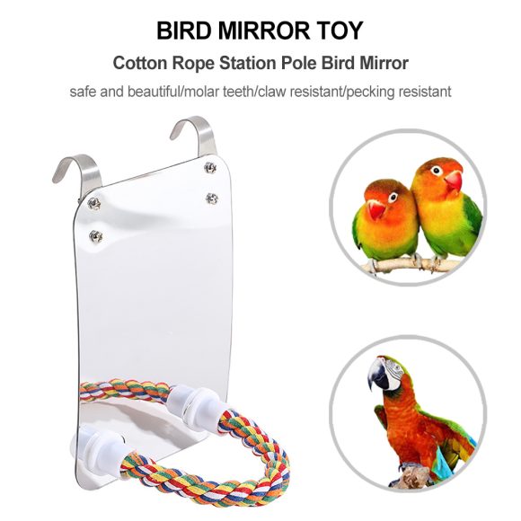 Parrot Toy Acrylic Bird With Mirror - Image 6