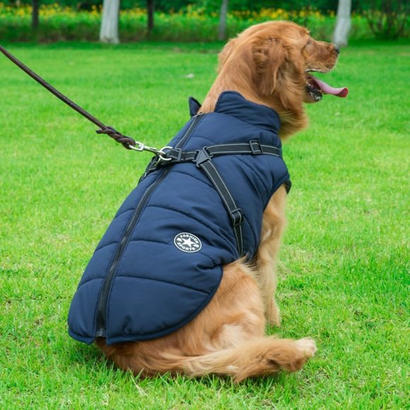 Pet Dog Clothes For Small Dogs Winter Warm Dog Hooded Coat Jackets Chihuahua Pug Outfits Puppy Cat Clothing - Image 5