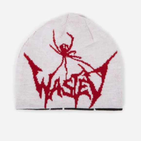 Knitted Hat Spider Embroidered Knitted Autumn Winter Hat Y2g Street Warm - Image 8