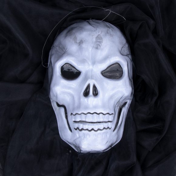 Halloween skull decoration - Image 9