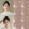 Hairpin Han Chinese Clothing Hair Clasp Updo Hair Accessories - Image 3