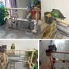 Wooden Small Cockatiel Floor Parrot Standing Stand - Image 5