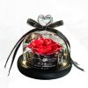 Valentine's Day Christmas Dried Flowers For Home Decor Wedding Gifts Dried Flowers Eternal Real Rose Home Decor With LED In Glass - Image 6