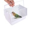 Out of the bird cage - Image 5