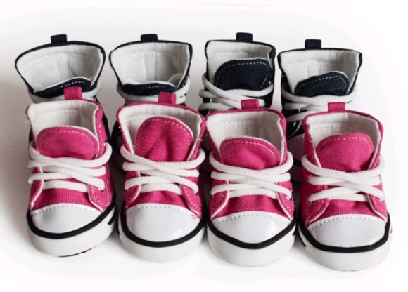 Pet denim canvas shoes dog shoes, sports and leisure waterproof non-slip dog shoes breathable and comfortable - Image 5