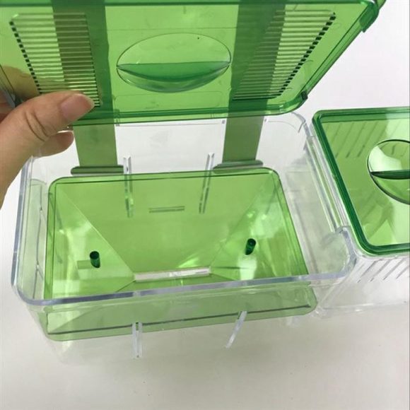 Hatching box guppy sick fish isolation box fighting fish - Image 4