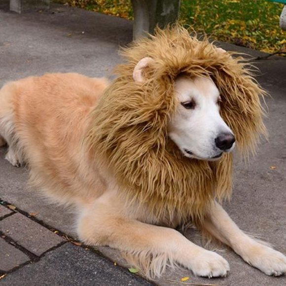 Cute Pet Cosplay Clothes Transfiguration Costume Lion Mane Winter Warm Wig Cat Large Dog Party Decoration With Ear Pet Apparel - Image 4