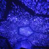 Scientific Projection Lamp LED Highlighting Romantic Four Seasons Star Projector - Image 8