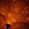 Scientific Projection Lamp LED Highlighting Romantic Four Seasons Star Projector - Image 3