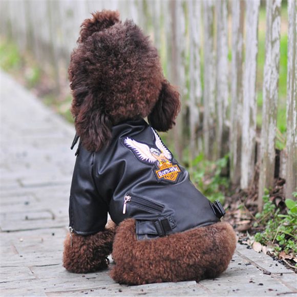 Dog coat - Image 5