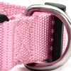 New Pet Collar - Image 7