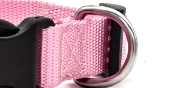 New Pet Collar - Image 7