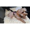 Dog seat belt - Image 2