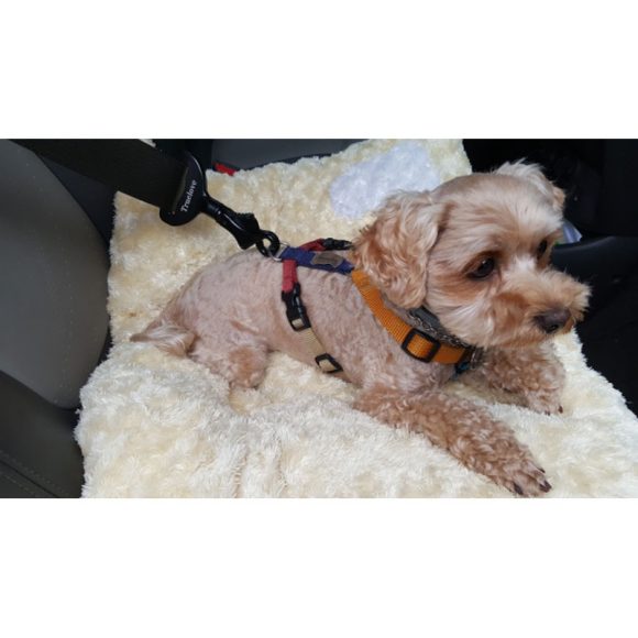 Dog seat belt - Image 2