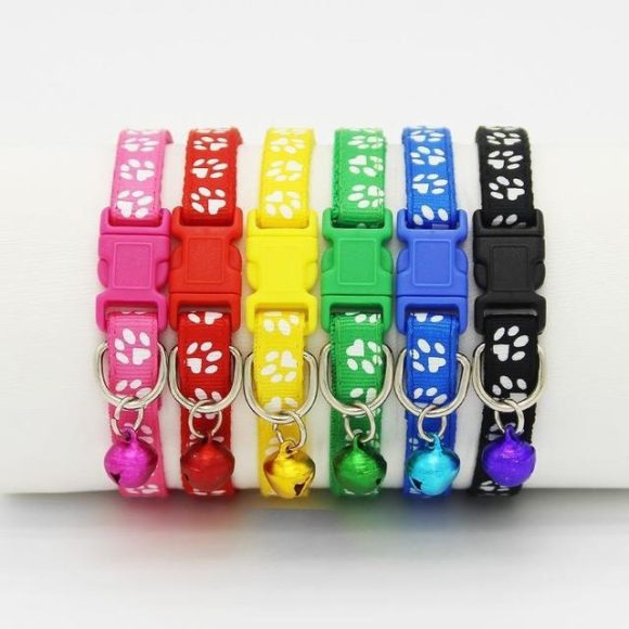 The pet cat wears a bell collar - Image 3