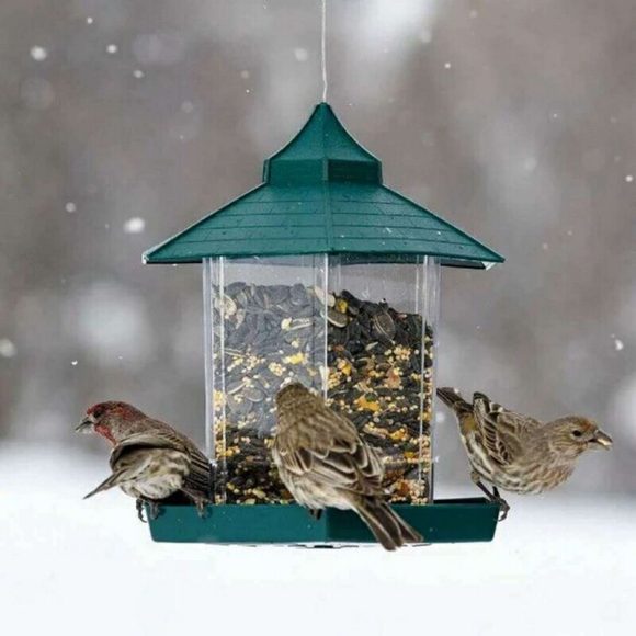 Waterproof hanging bird food box - Image 7