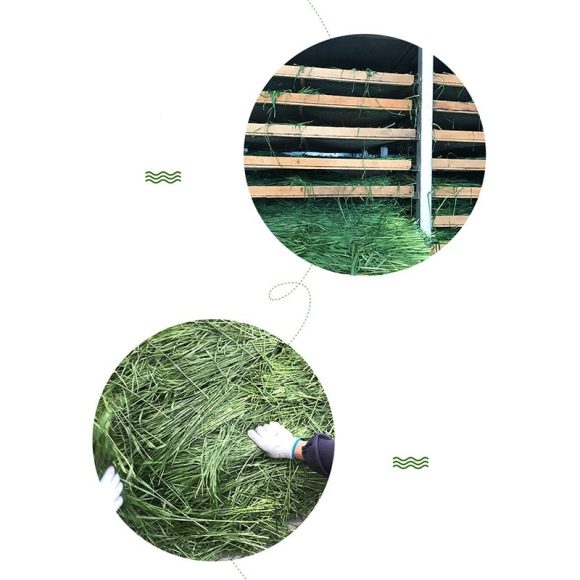 Dried Timothy FCL Hay Snacks Feed Chinchilla Guinea Pig Food Rabbits Pet Products - Image 6