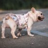 Teddy Schnauzer Pugs Small And Medium-sized Dogs Cats And Dogs Skirt - Image 3