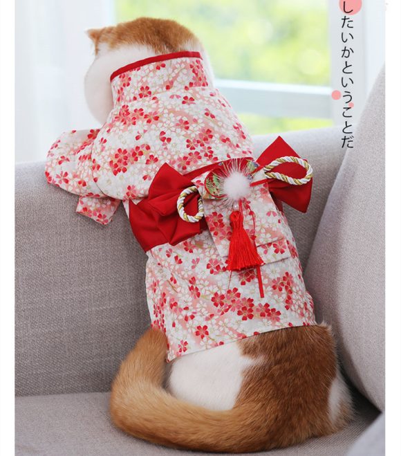 Thin Kimono Hairless Cat Puppet Pet Cat Dress - Image 3
