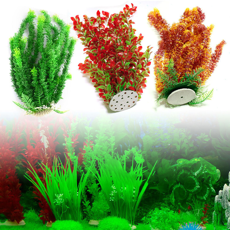 Fish Tank Decorations