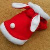 Pet Cat Clothes Mascotas Costume Clothes For Pet Hoodies Cute Rabbit Cat Clothing Puppy Fleece Warm Pet Cat Jacket - Image 2