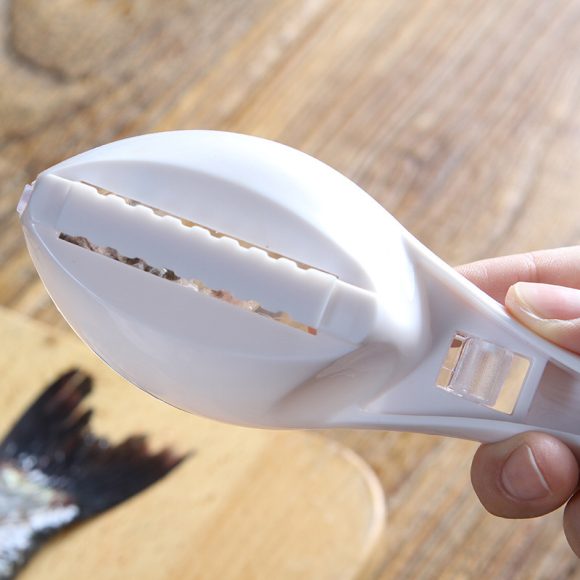 Fish Skin Brush Scraping Fish Scale Brush Grater Quick Disassembly Fish Knife Cleaning Peeling Skin Scraper Scraper Fish Scaler Kitchen Tools - Image 6